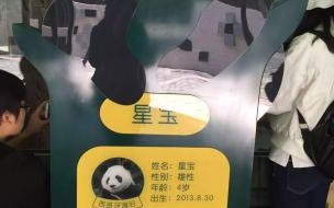 写一篇描写介绍国宝大熊猫的作文 国宝大熊猫的满分作文