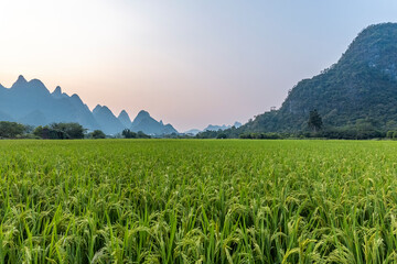 辅助神器“九九万州麻将有挂吗”(原来确实是有挂)